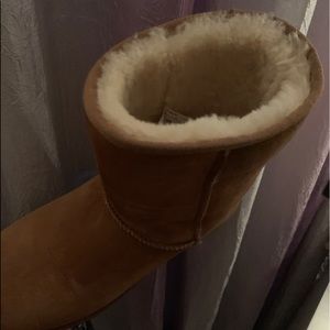 authentic chestnut uggs